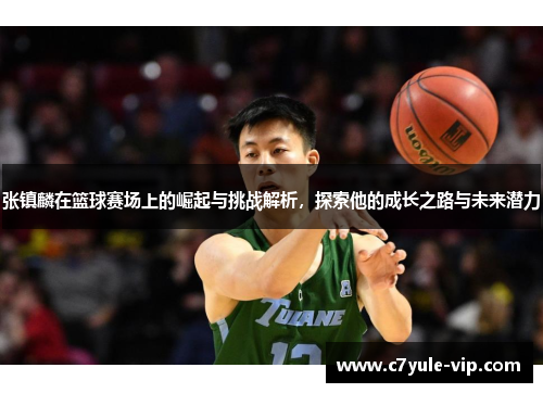 张镇麟在篮球赛场上的崛起与挑战解析，探索他的成长之路与未来潜力